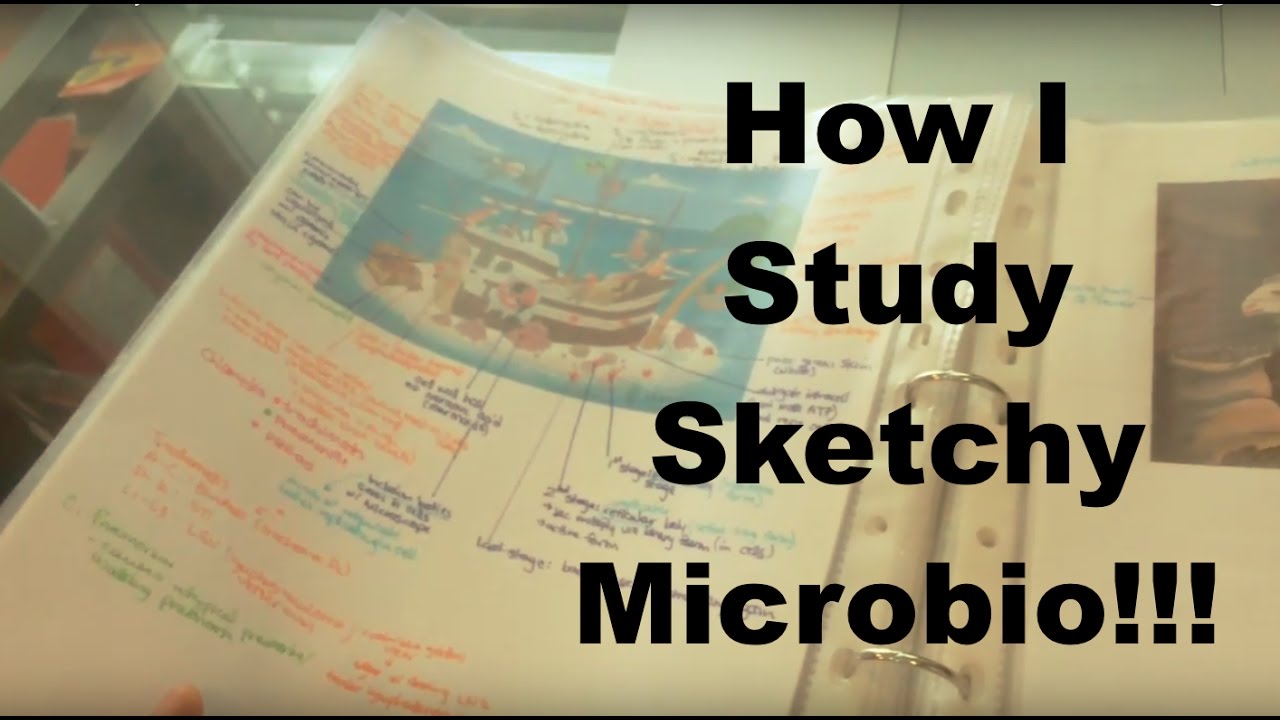 sketchy microbiology pdf